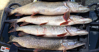 Юрист рассказала о штрафах за зимнюю рыбалку в неположенном месте 