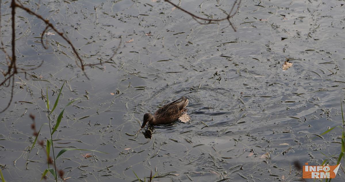 Синоптик рассказал о погоде в начале декабря 