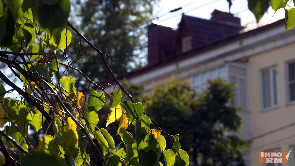 В Мордовии в выходные дождей не ожидается