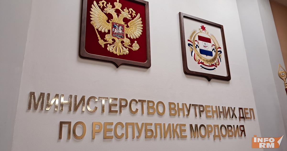 В Мордовии с крупной партией контрафакта задержан житель Ульяновской области 