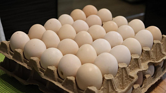 Яйца дорожают, техника дешевеет: как изменились цены в Мордовии 