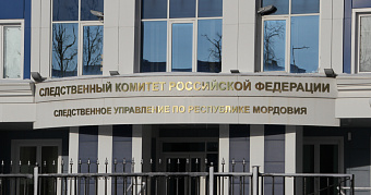 Подростков в Мордовии осудили за кражу с проникновением 