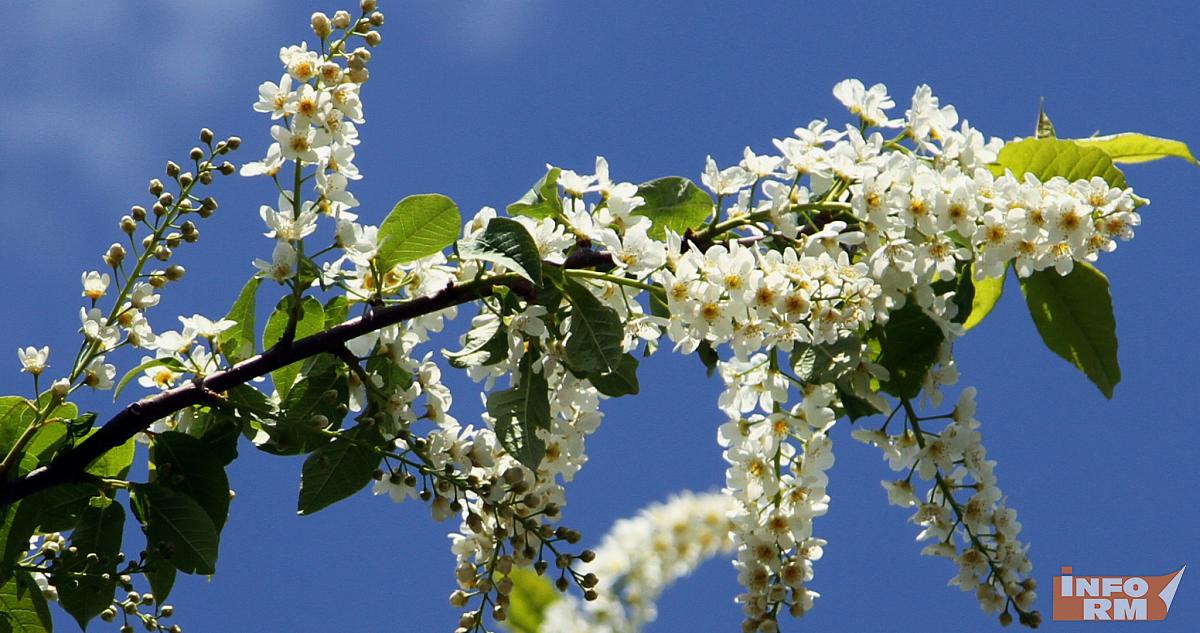 Когда придёт весна в 2026 году: прогноз синоптика 