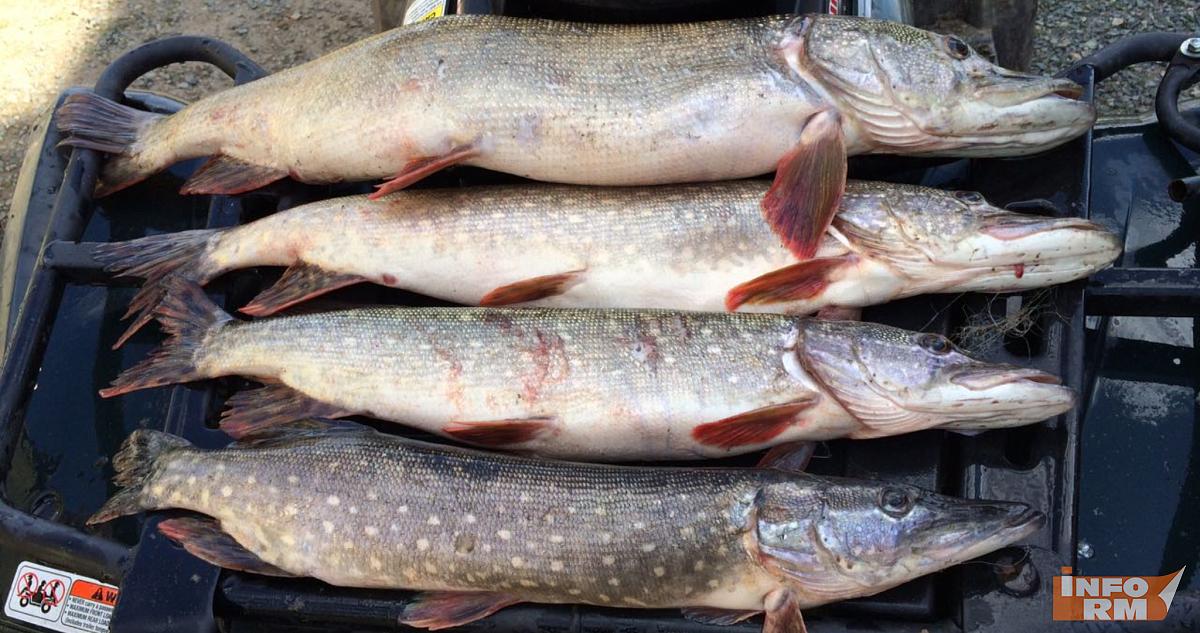 Юрист рассказала о штрафах за зимнюю рыбалку в неположенном месте 