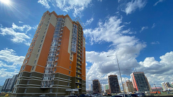 Алексей Лейпи: рынок базовых программ в 2026 году вырастет более чем вдвое