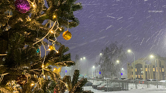 Синоптики Мордовии рассказали о погоде в новогоднюю ночь