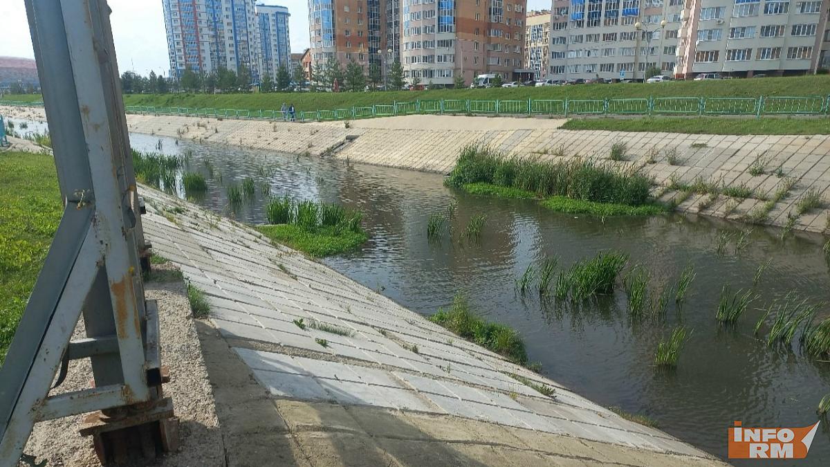 В Минлесхозе Мордовии прокомментировали информацию о загрязнении реки Тавлы 