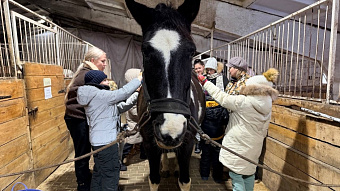 В Мордовии семьи ветеранов СВО посетили конный клуб