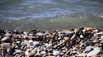 В Мордовии подорожали зарубежные туры и подешевела курятина 