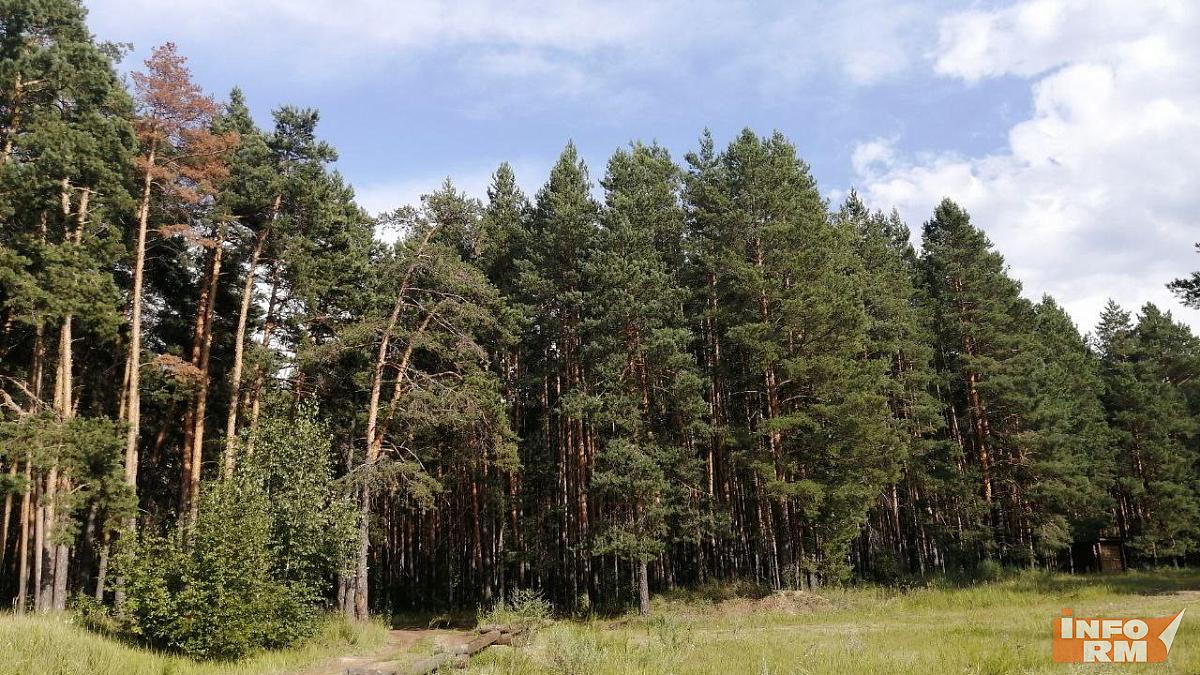 Высокая пожароопасность лесов сохраняется в восточной части Мордовии Высокая пожароопасность лесов сохраняется в восточной части Мордовии