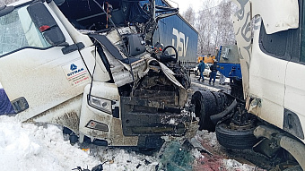 В Мордовии жителя Челябинска осудили за смертельное ДТП