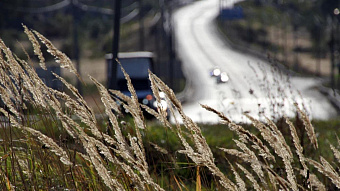 Два жителя Мордовии задержаны на трассе в Тамбовской области 