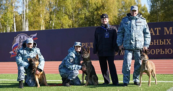Кинологи из Мордовии вошли в топ-10 на чемпионате России по многоборью 