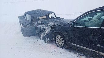 Гибелью пенсионера в Мордовии заинтересовался Следком России