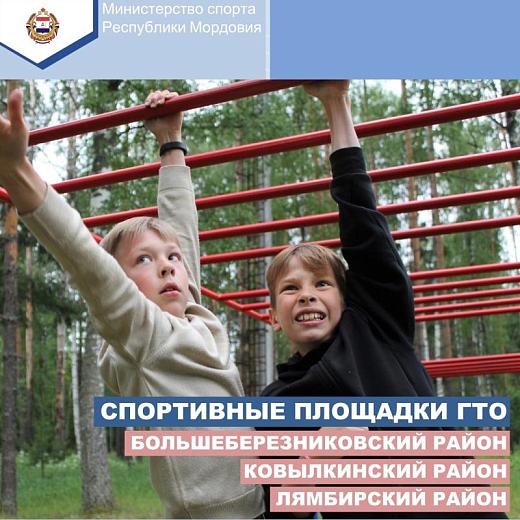 Три спортивные площадки ГТО построят в Мордовии 