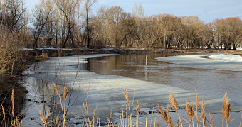 Детей и родителей в Мордовии предупредили о смертельной опасности 
