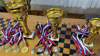 Школьники Саранска сразились в шахматы