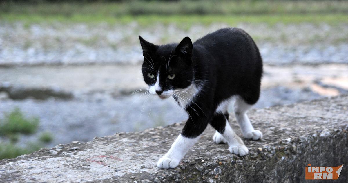 Россиян предупредили о штрафах за подглядывание за соседями 