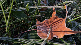 Ночью в европейской части России зафиксировали 20-градусные морозы 