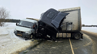 В Мордовии фура насмерть сбила двух дорожных рабочих, двое в больнице