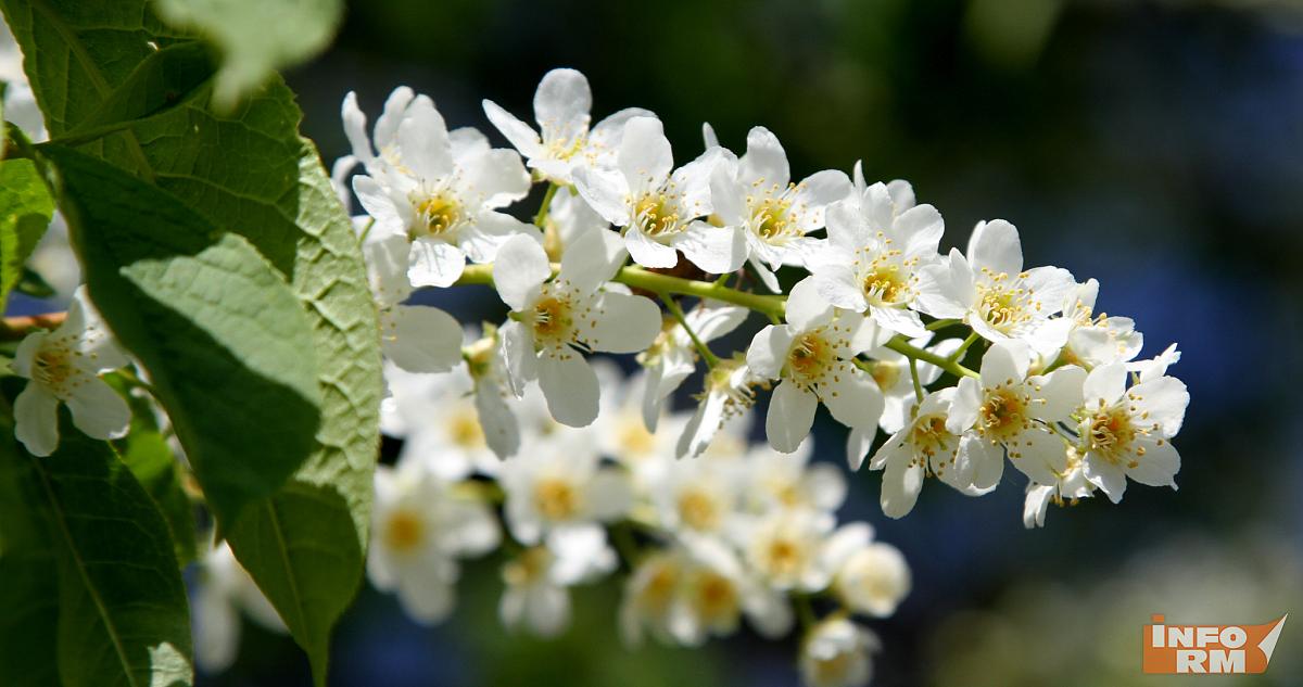 Погода на майские праздники: озвучен новый прогноз 