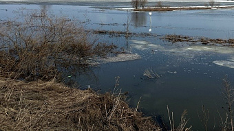 В Саранске затопило экопарк