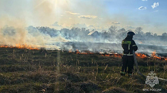В Мордовии сгорело более 4 га сухой травы