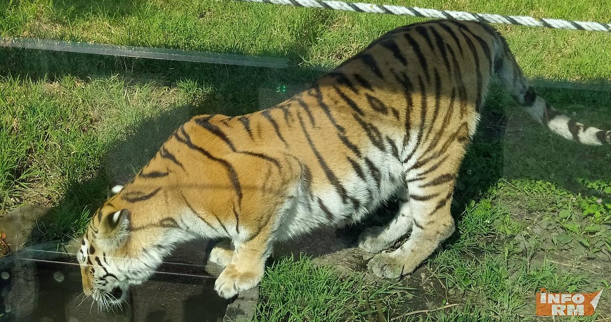 Зоопарк в Саранске готовится к началу летнего сезона 