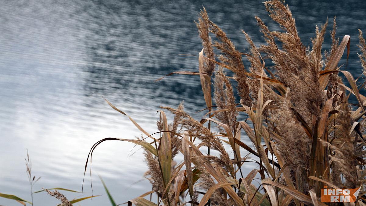 На Мокше и Суре в соседнем с Мордовией регионе завершился судоходный сезон