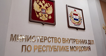 В Мордовии с крупной партией контрафакта задержан житель Ульяновской области 