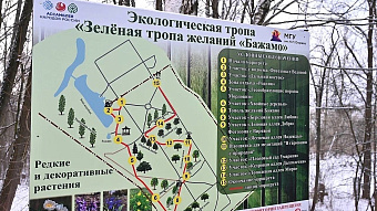 В Саранске «Тропой желаний» прошли почти 19 тысяч человек