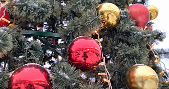 Саранск примет большую предновогоднюю ярмарку 