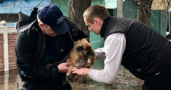 Паводок-2026 в Мордовии: для ковылкинцев приготовили больше 30 пунктов размещения 