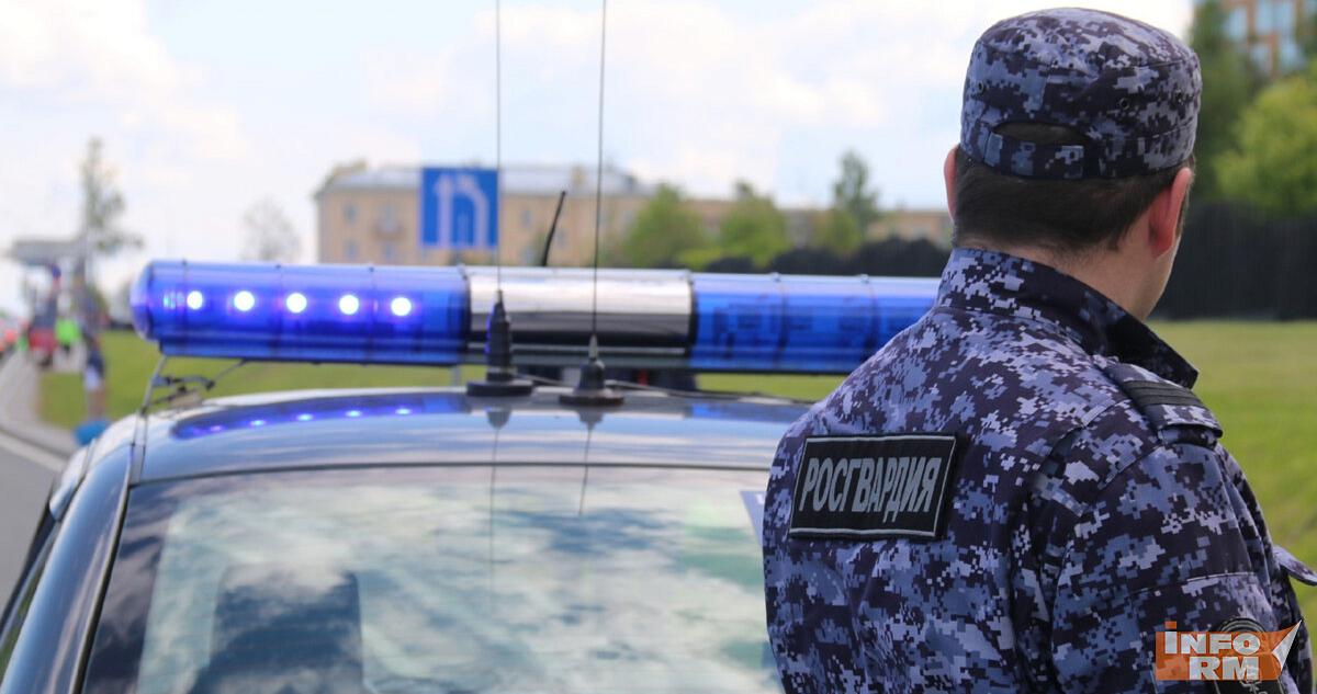 Буйного жителя Мордовии поймали в Чебоксарах 