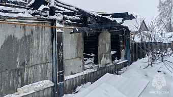 В Пензятке сгорели жилой дом и надворная постройка