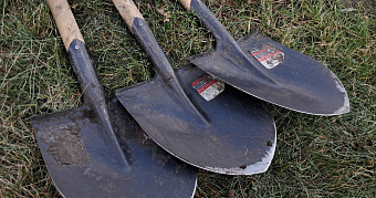 Жителей Саранска приглашают на семейный субботник и посадку деревьев 