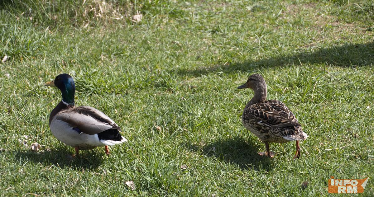 Какая будет весна в 2026 году: новый прогноз 