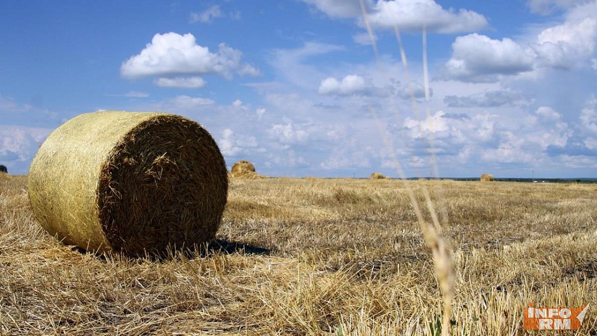 Аграрии Мордовии осваивают агротуризм