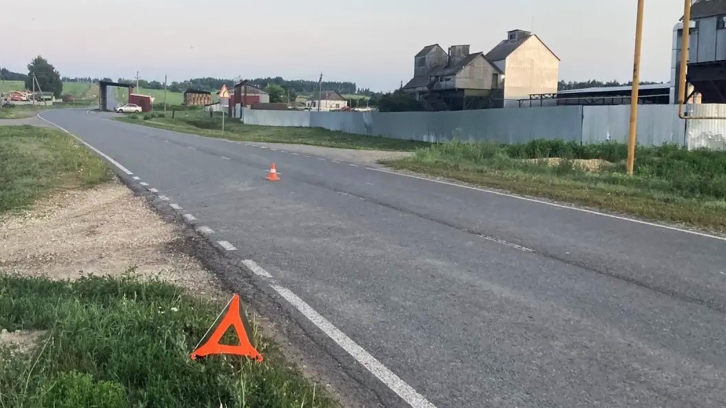 Фото: Госавтоинспекция РМ