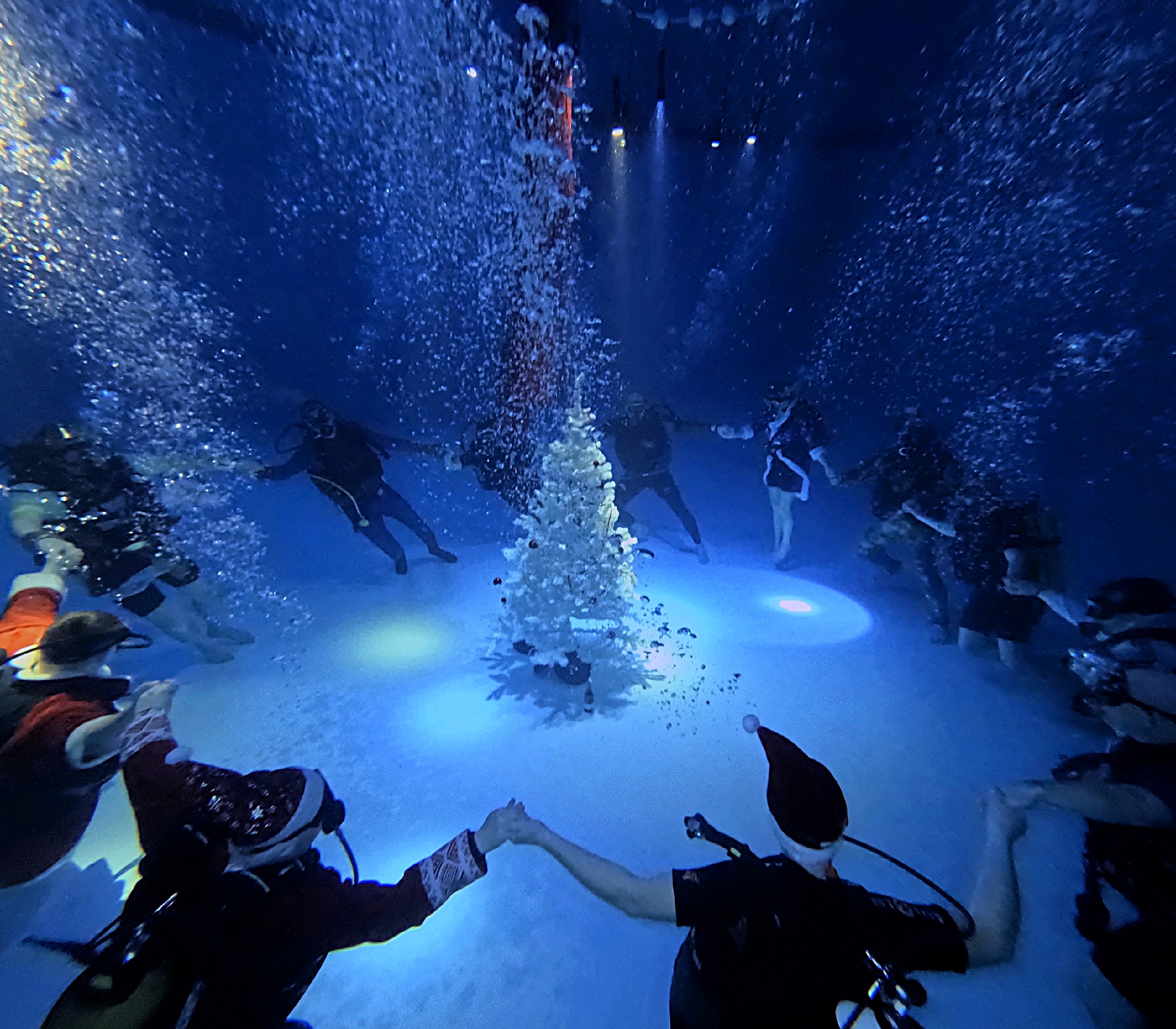  Фото: Divefox club