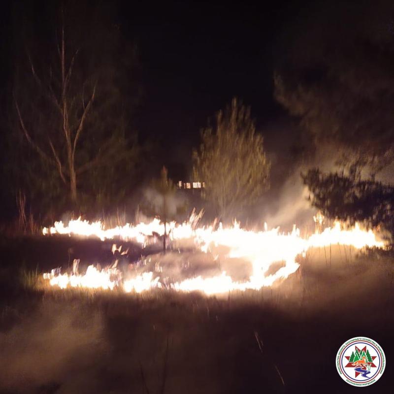 В Мордовии остановили огонь в 20 метрах от леса