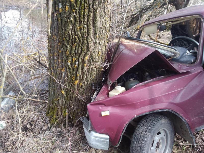 Водитель «семерки» в Мордовии влетел в дерево и погиб