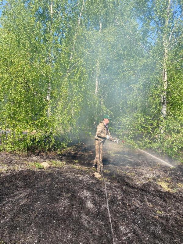 Лесной пожар предотвратили в Мордовии