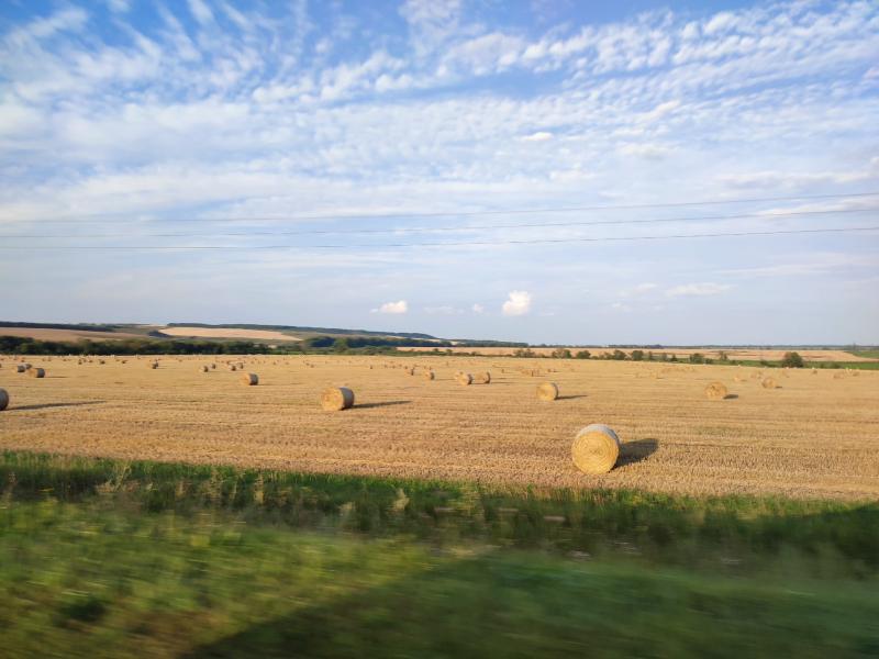Неладная сделка: сельской администрации в Мордовии вернули земли сельхозназначения